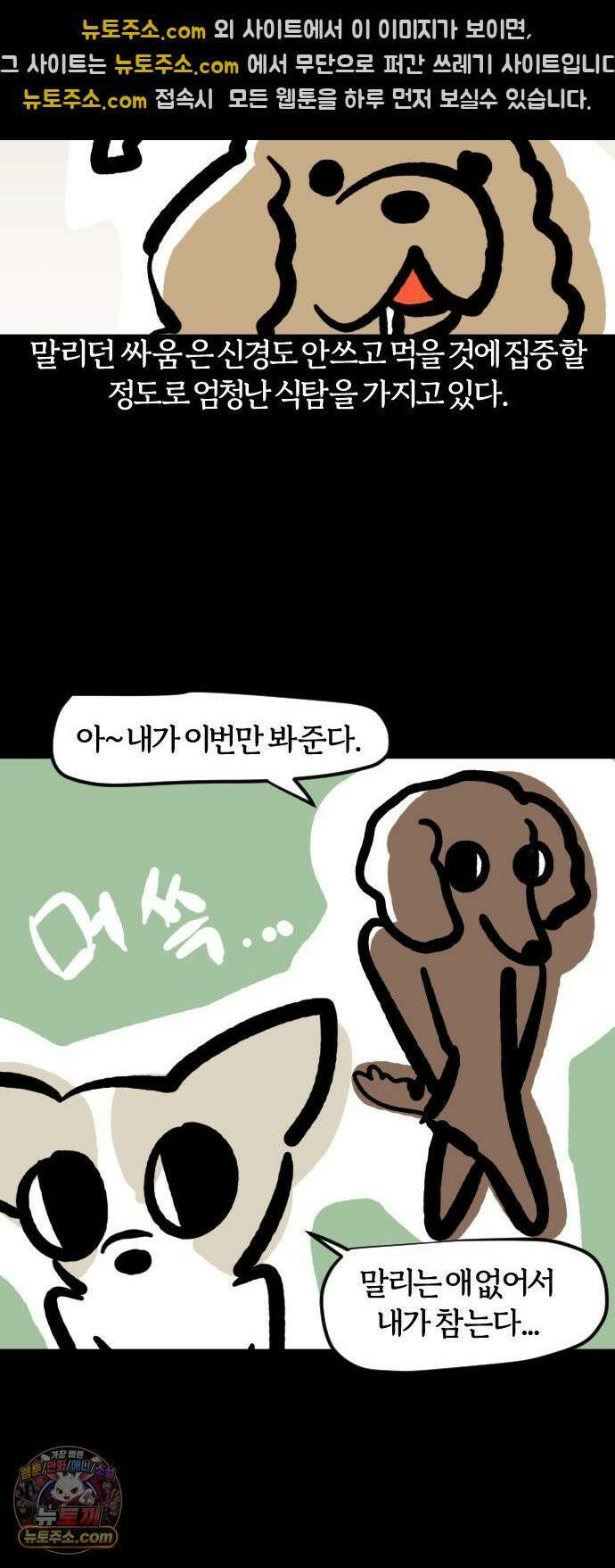 개집사 162화: 알바 일지?견종 특집?-코커스패니얼 편 10