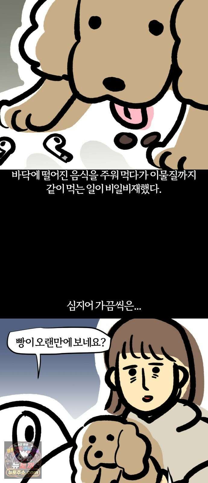 개집사 162화: 알바 일지?견종 특집?-코커스패니얼 편 14