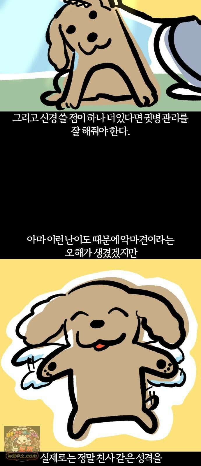 개집사 162화: 알바 일지?견종 특집?-코커스패니얼 편 17