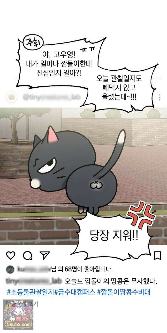 냥냥찍찍! 16화． 소동물 주접 연구회 13