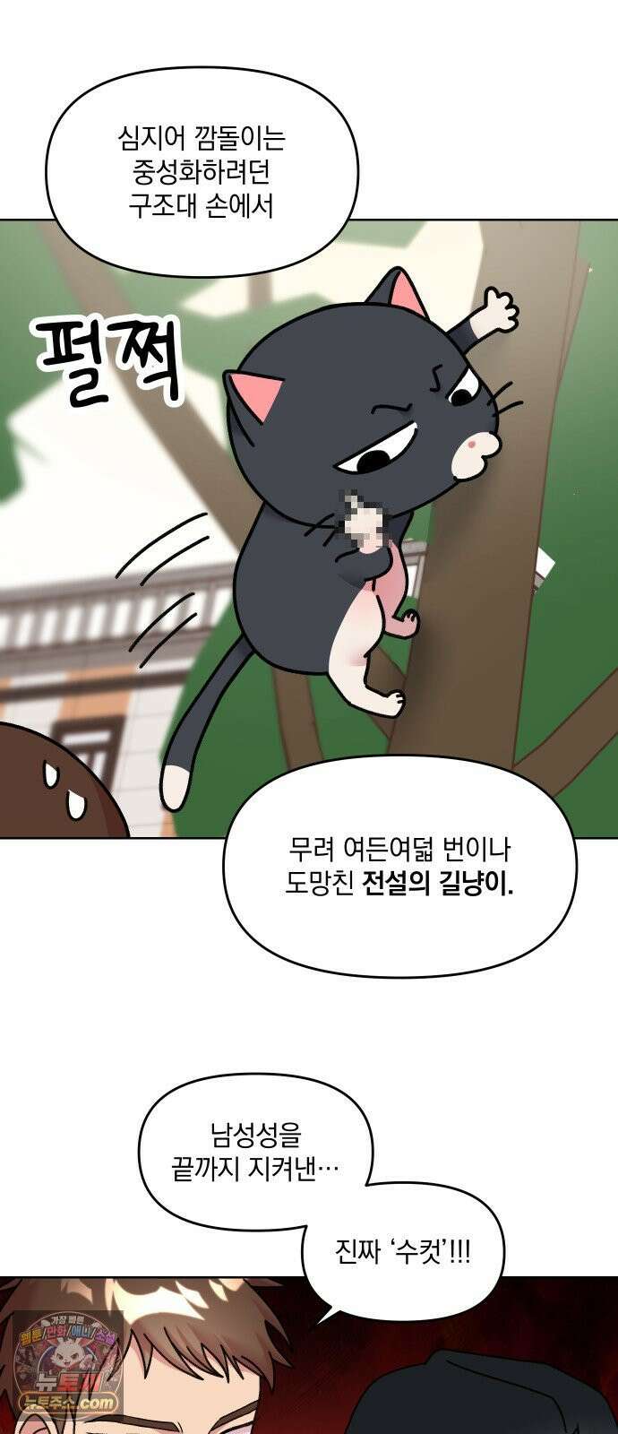 냥냥찍찍! 16화． 소동물 주접 연구회 17