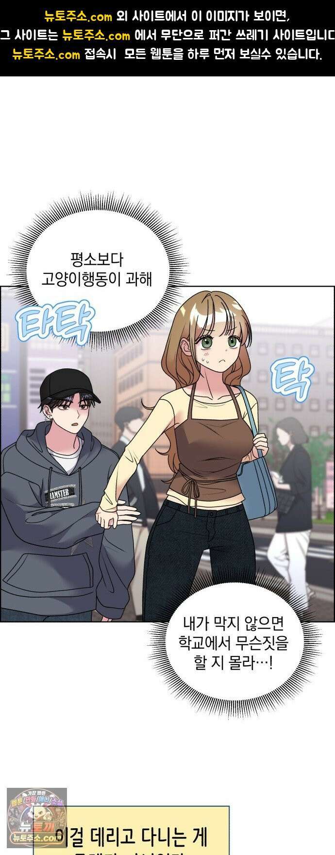 냥냥찍찍! 52화． 학교에 고양이 데려가도 되나요? 1