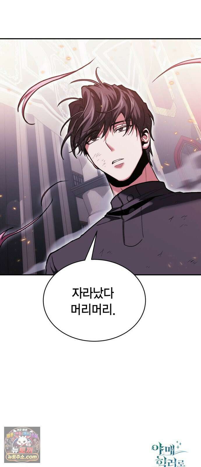 야매 힐러로 사는 법 150화 91