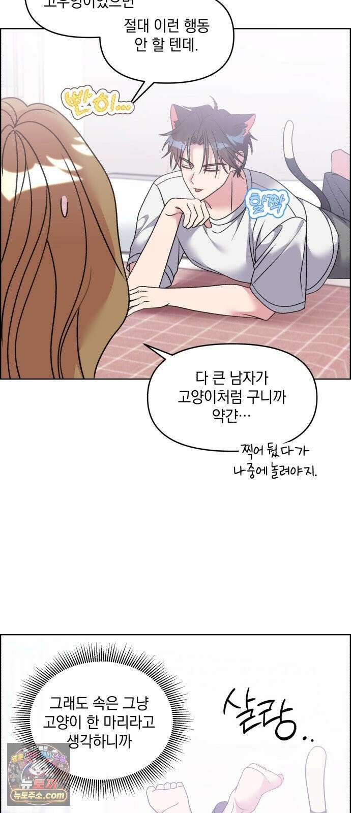 냥냥찍찍! 55화． 야옹야옹야옹．．．앗 14