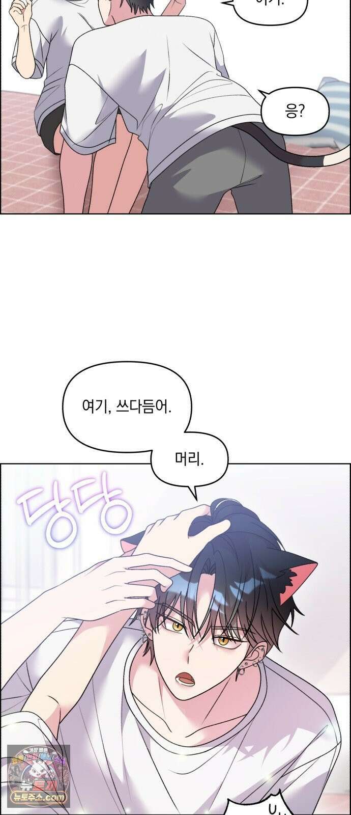 냥냥찍찍! 55화． 야옹야옹야옹．．．앗 16