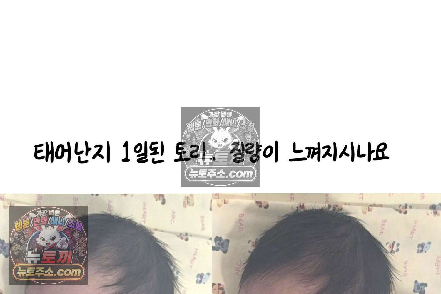 재활용 머학생 167화 출산하는 만화(7) 78