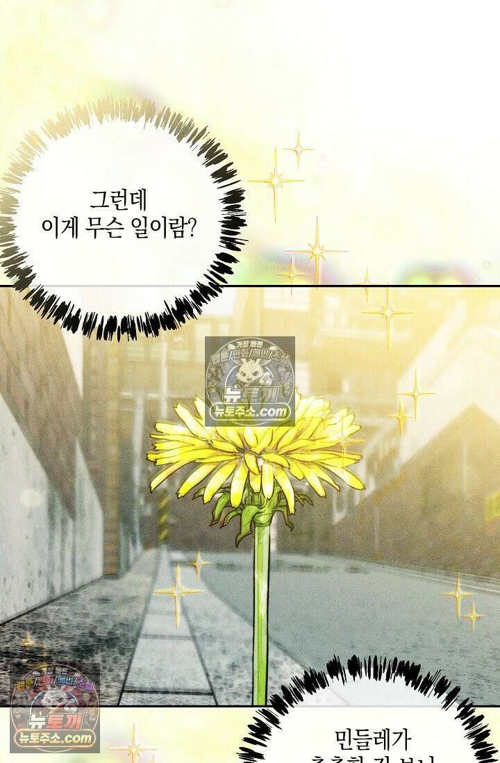 미친 오빠를 주웠다 31화 8