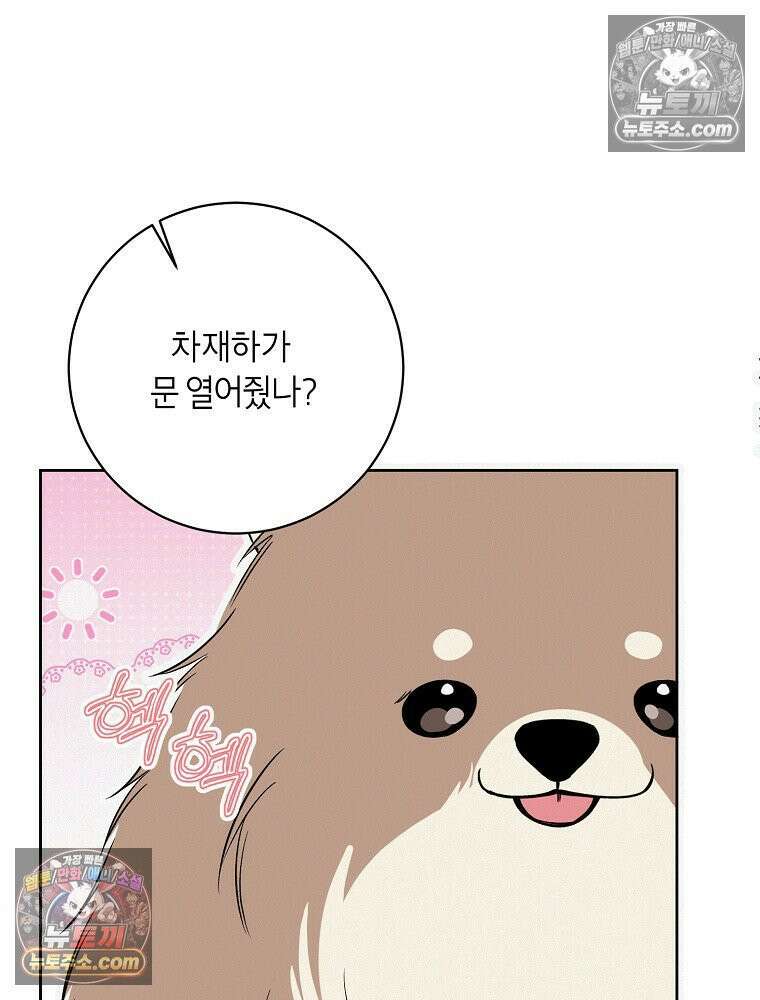 좋아하는 강아지 있어? 02화 13