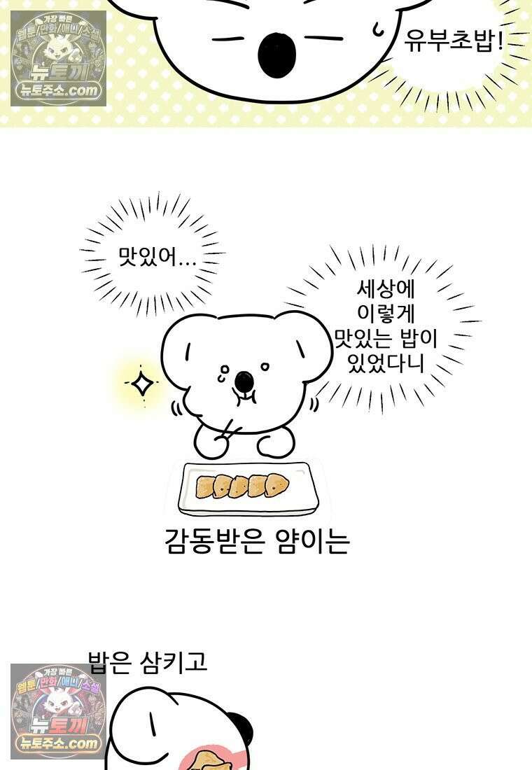 코알랄라 160화 유부초밥 5