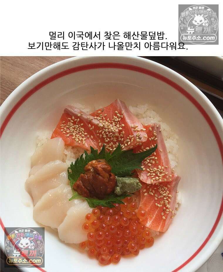 코알랄라 165화 해산물덮밥 46