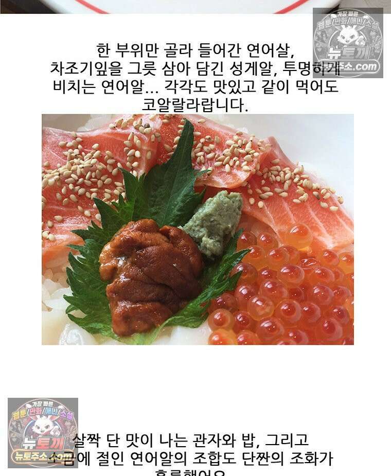 코알랄라 165화 해산물덮밥 47