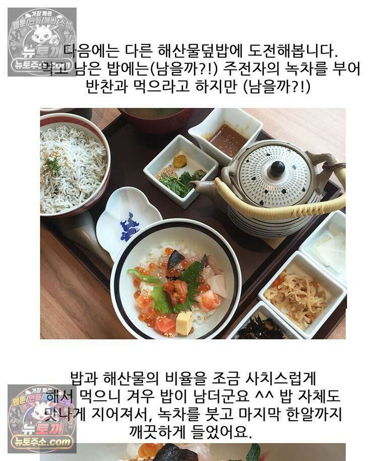 코알랄라 165화 해산물덮밥 49