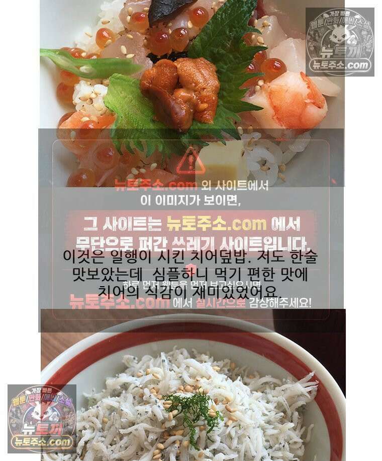 코알랄라 165화 해산물덮밥 50