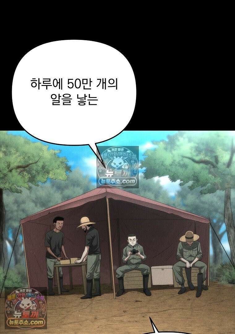 개미 13화 17