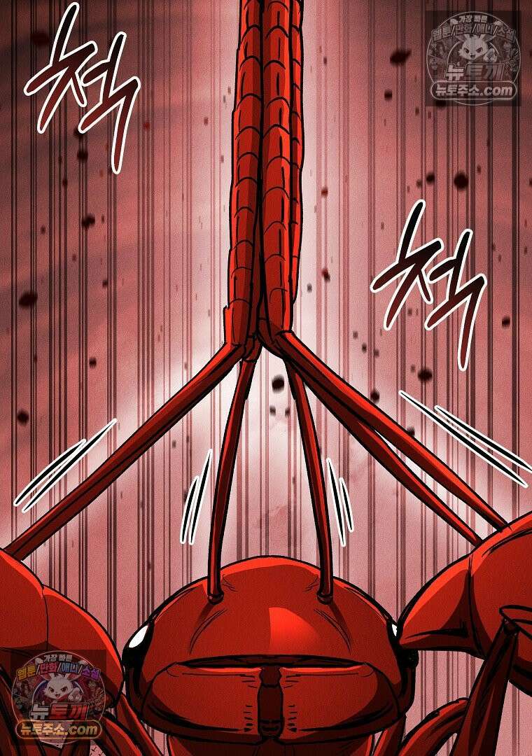 개미 28화 24