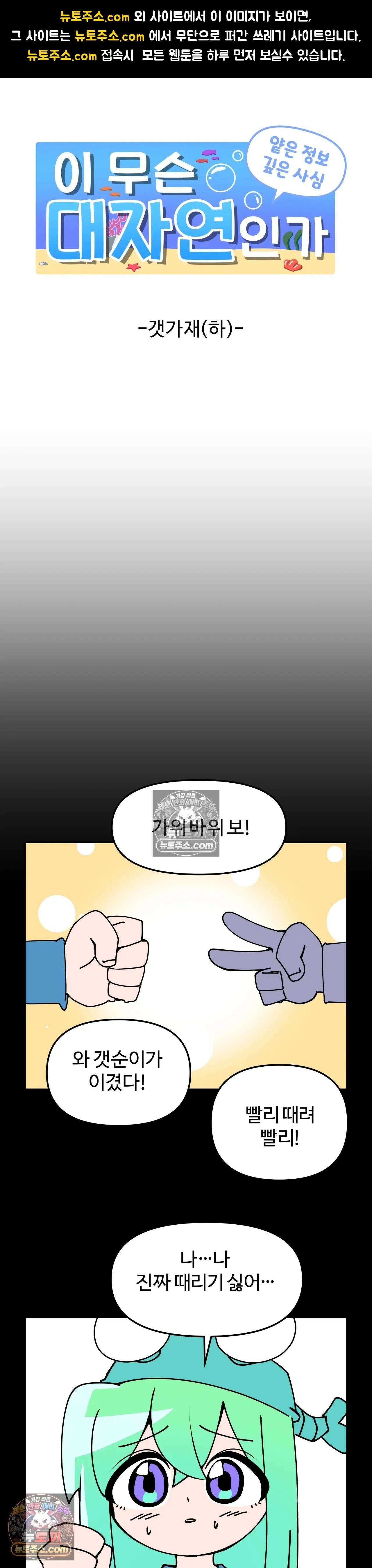 이 무슨 대자연인가 31화 - 갯가재(하) 1