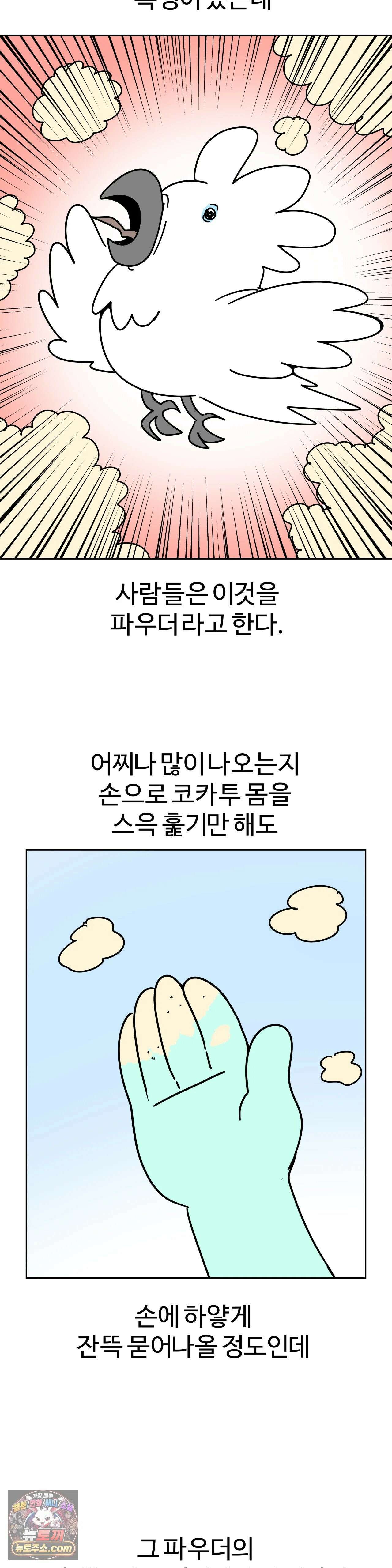 이 무슨 대자연인가 96화 - 코카투 17