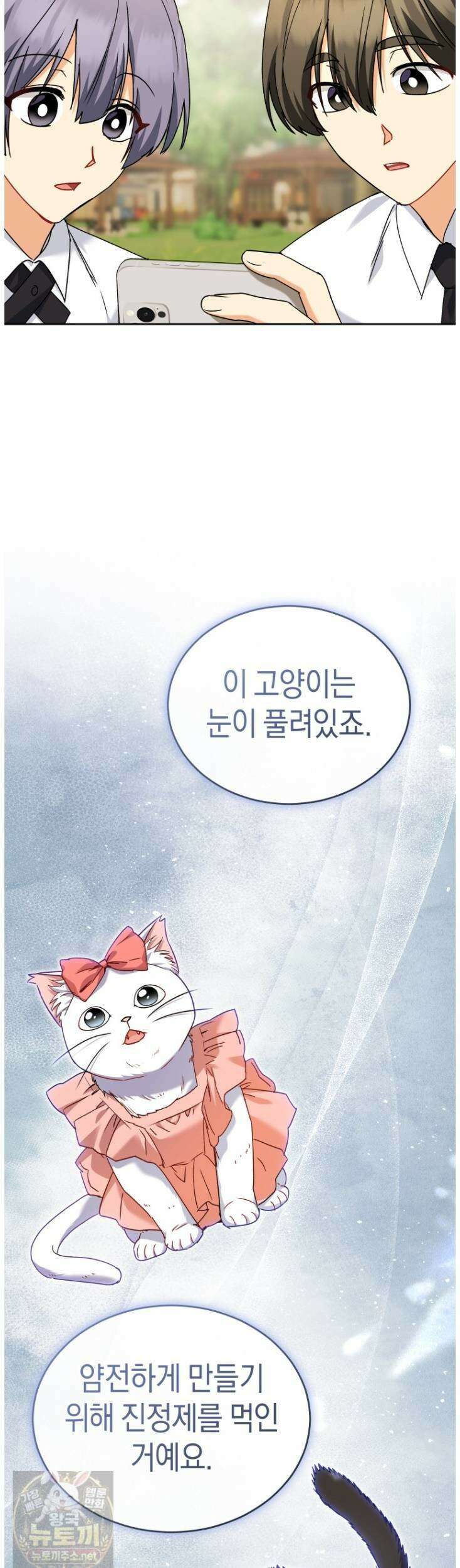 수의사님! 안녕하세요? 136화 5