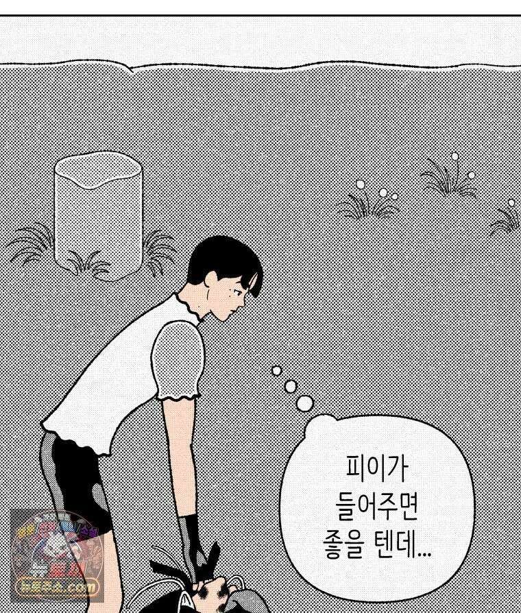 팬지 22화 28
