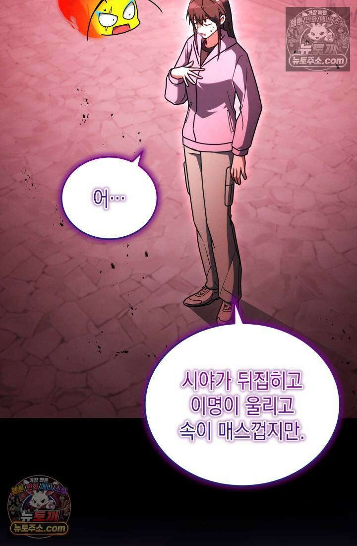 랭커는 오늘도 은퇴를 꿈꾼다 40화 21