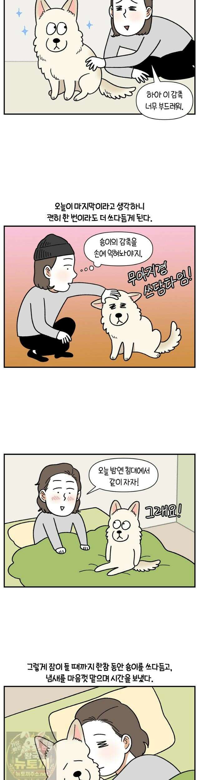 극한견주 시즌2 136화 착한 강아지 2