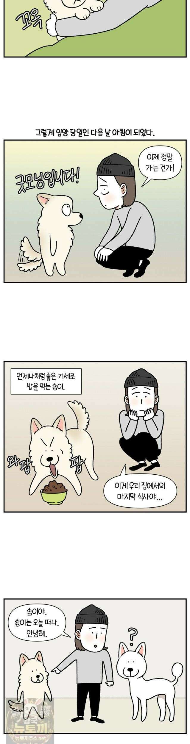 극한견주 시즌2 136화 착한 강아지 3