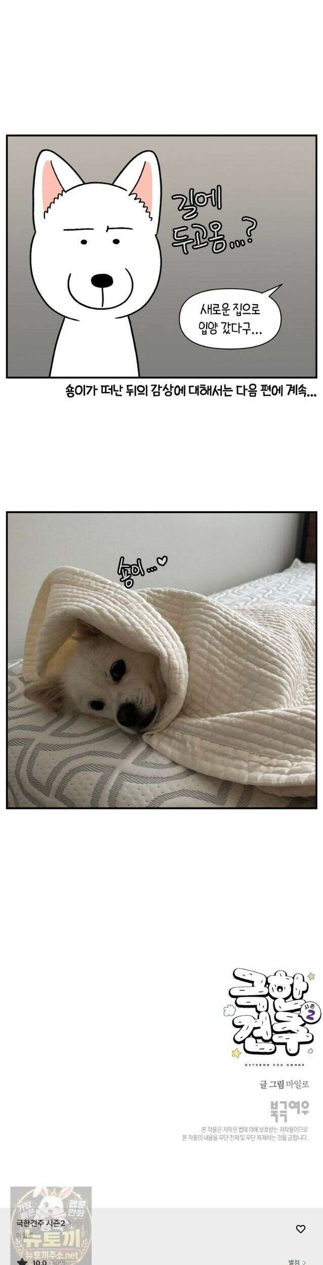 극한견주 시즌2 136화 착한 강아지 10