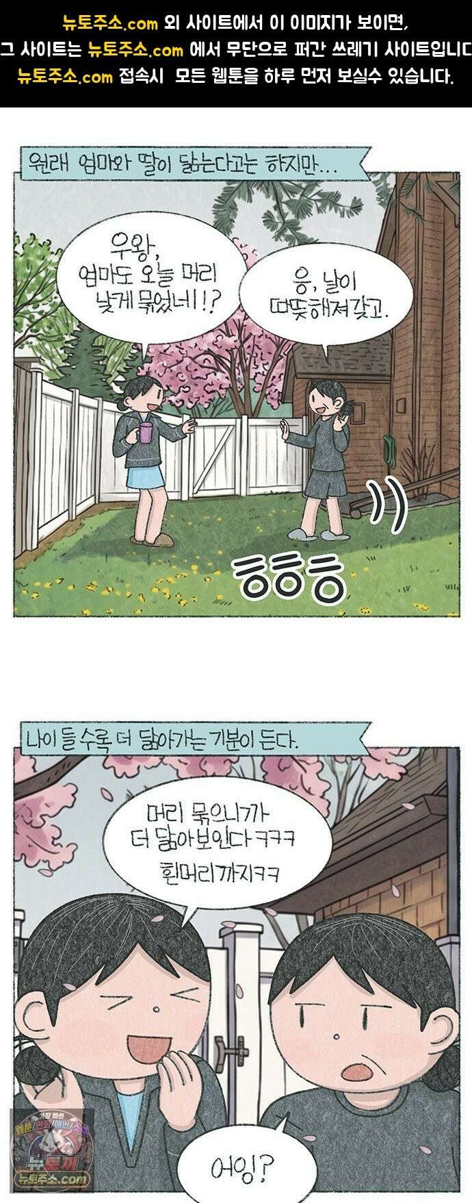 마님이네 미국 시골집 이야기 286화 우리 집에 마님이 몇 명? 1