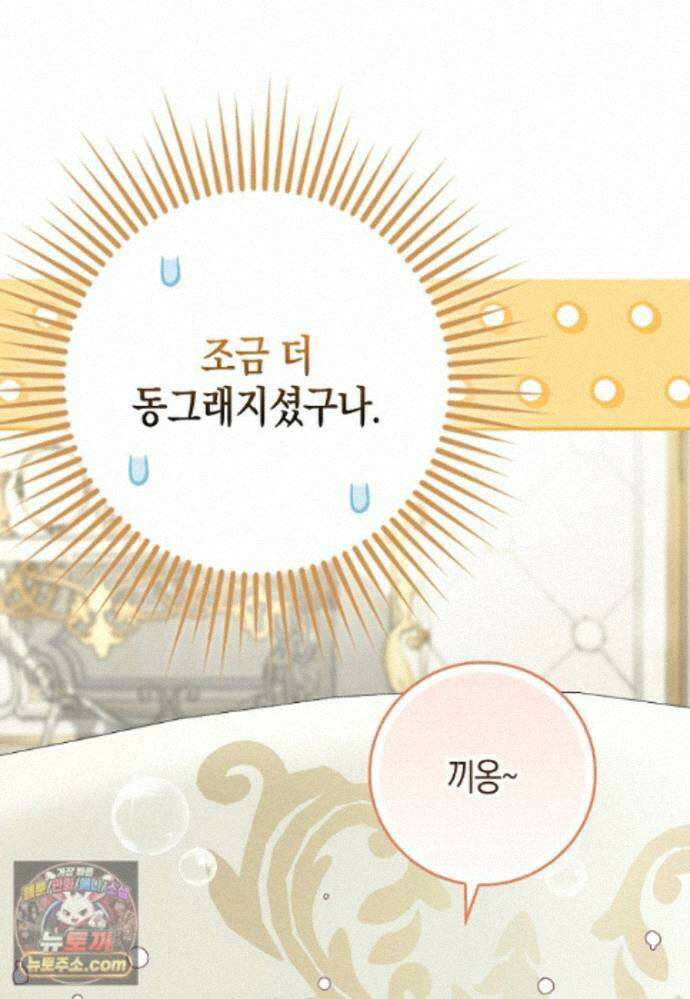 흑표 가문의 설표 아기님 71화 4