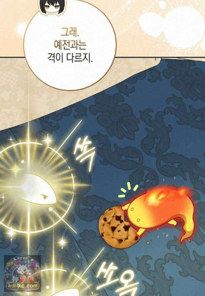 흑표 가문의 설표 아기님 71화 75