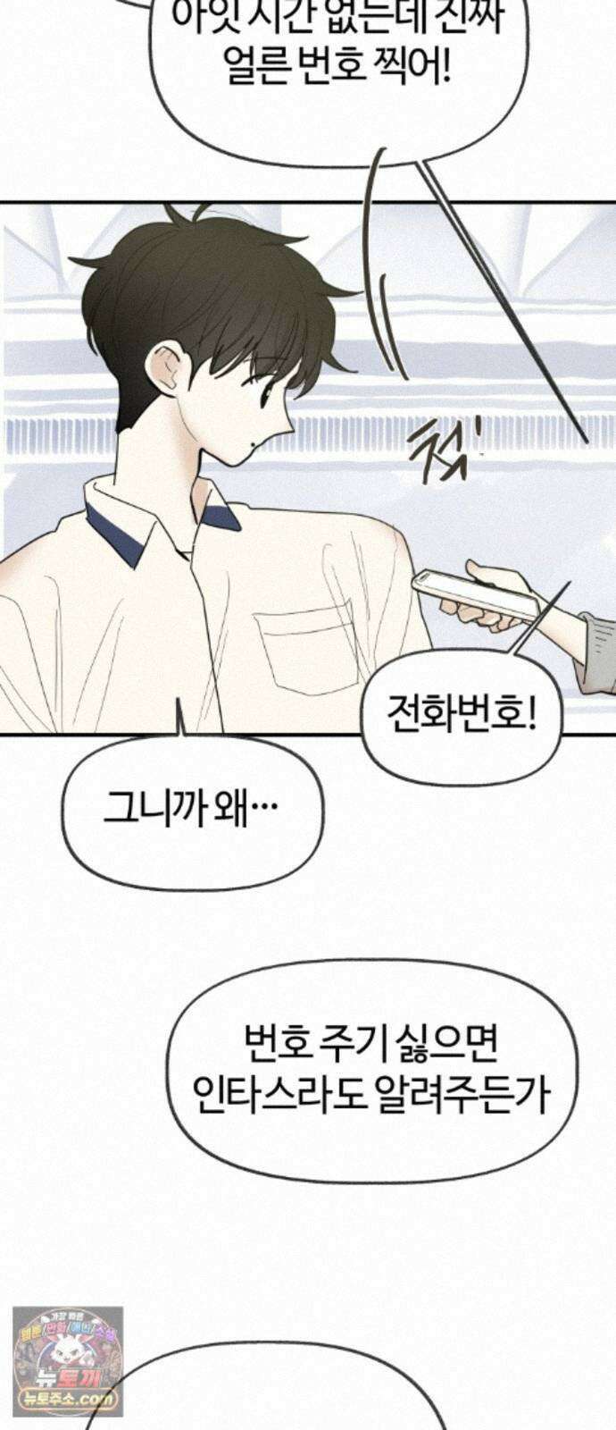 설탕에 곁들인 로맨스 49 간장계란밥, 사랑은 복잡해 8