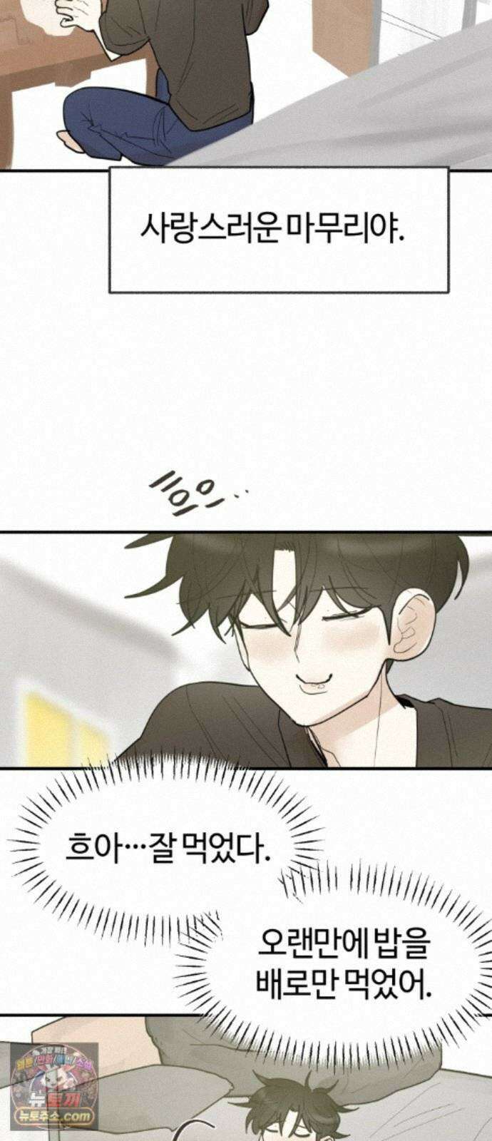 설탕에 곁들인 로맨스 49 간장계란밥, 사랑은 복잡해 46