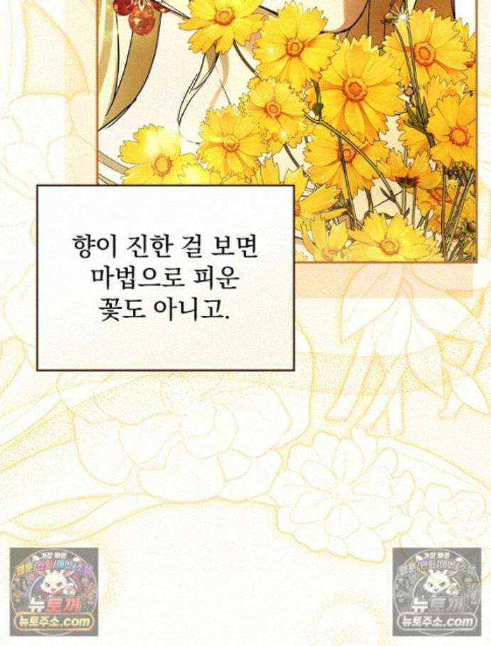 새 남편을 구합니다 45화 8
