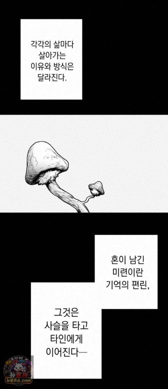 부두슬램 【제42화】 소녀의 바람① -몽상夢想- 3