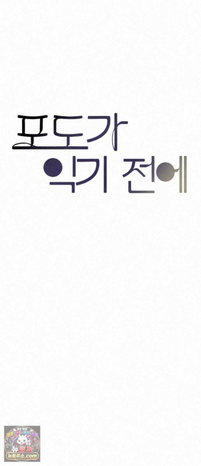 포도가 익기 전에 41화 29