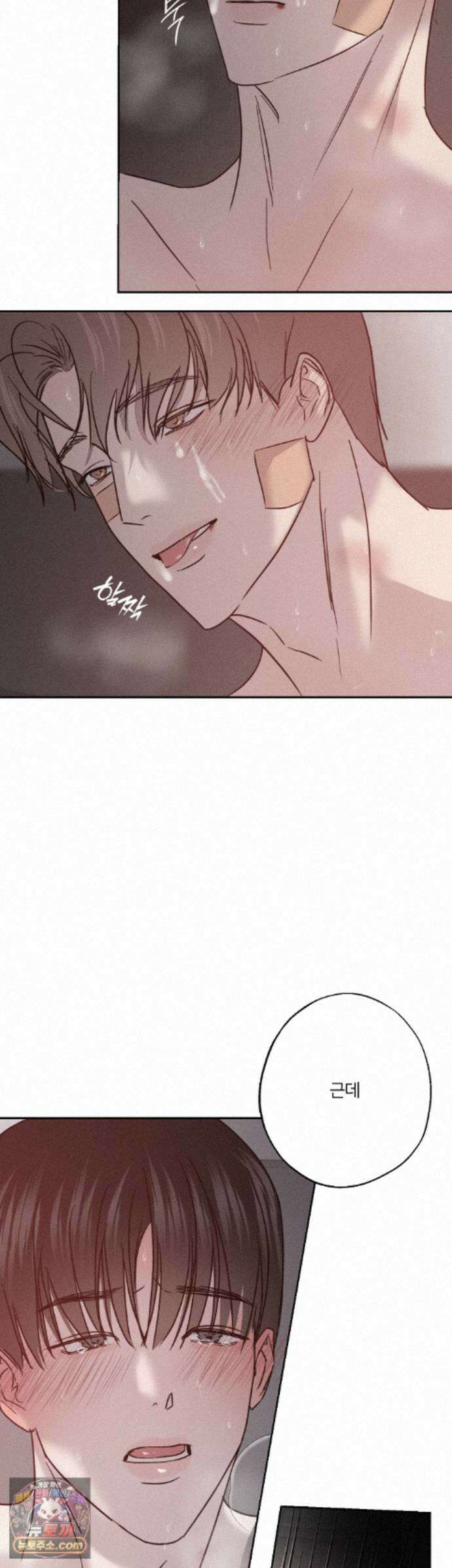 기만의 틈 14화 5