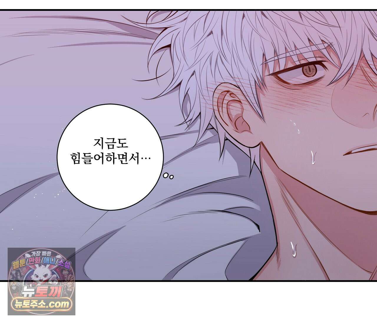 겨울 지나 벚꽃 시즌5 14화 79