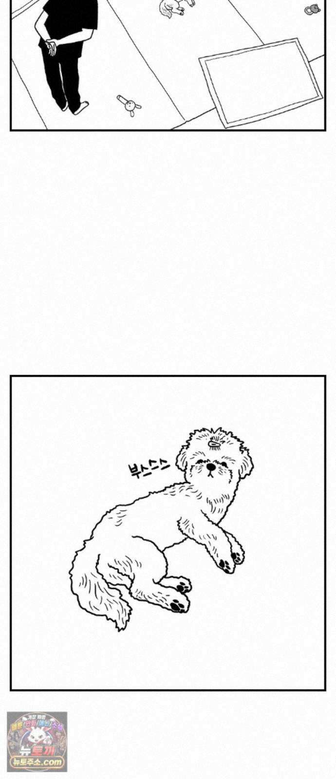 펫로스클럽 42. 귤꽃 향기 7