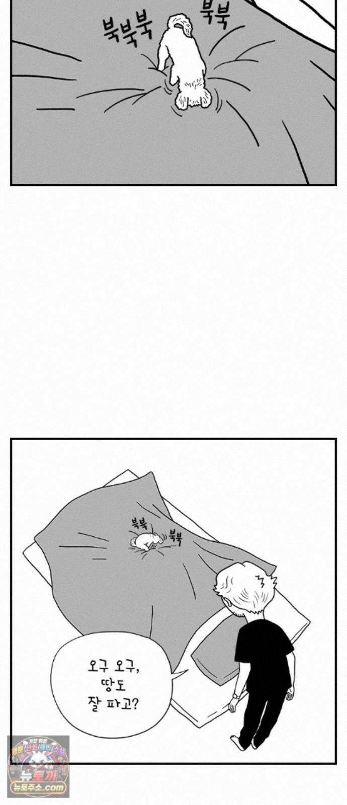 펫로스클럽 42. 귤꽃 향기 17