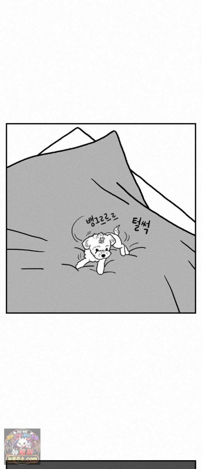 펫로스클럽 42. 귤꽃 향기 18