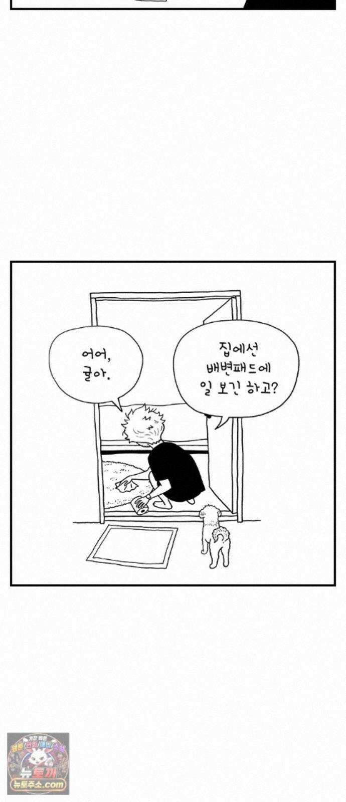 펫로스클럽 42. 귤꽃 향기 28