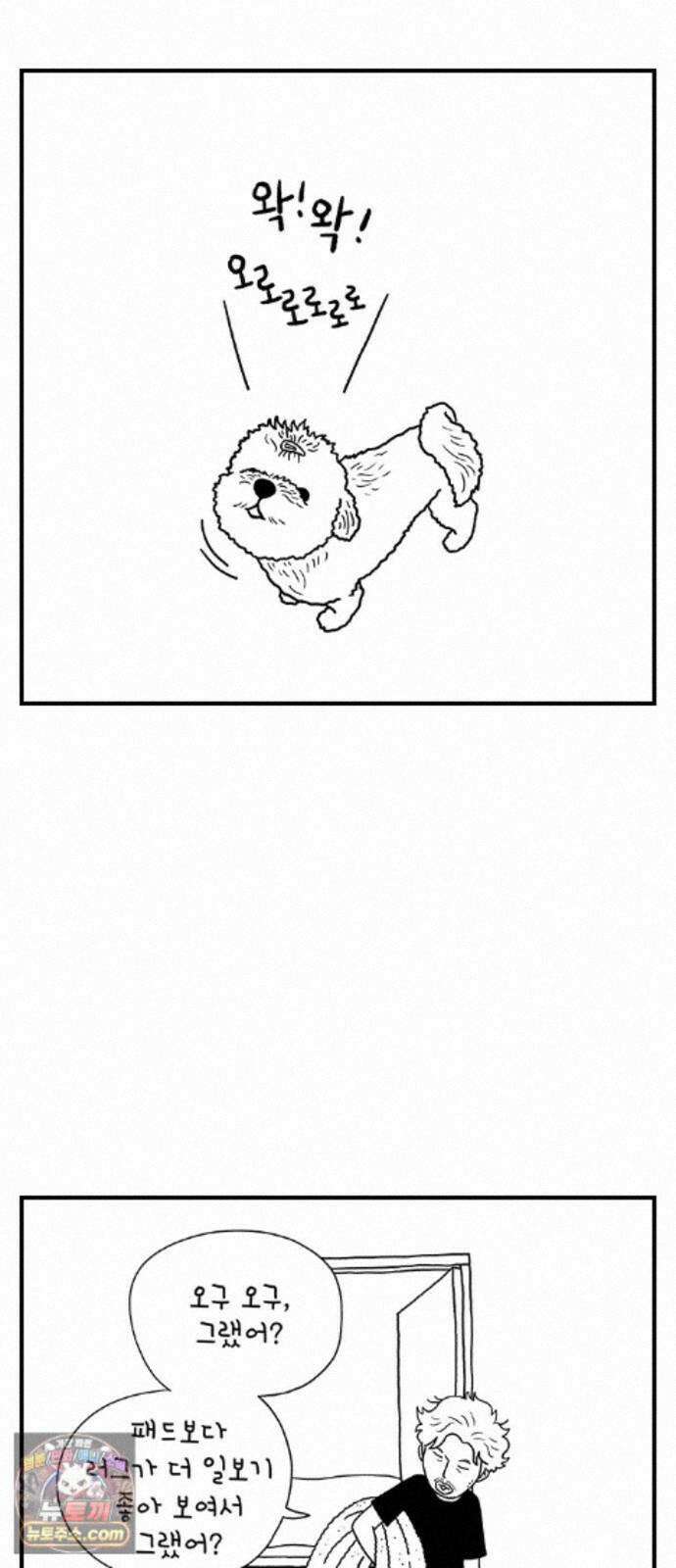 펫로스클럽 42. 귤꽃 향기 29