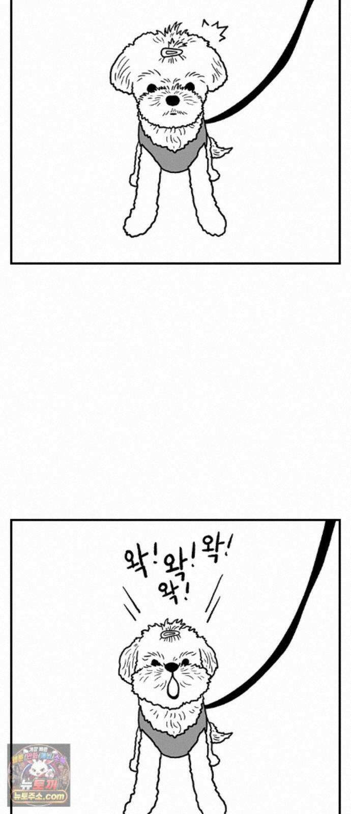 펫로스클럽 42. 귤꽃 향기 32