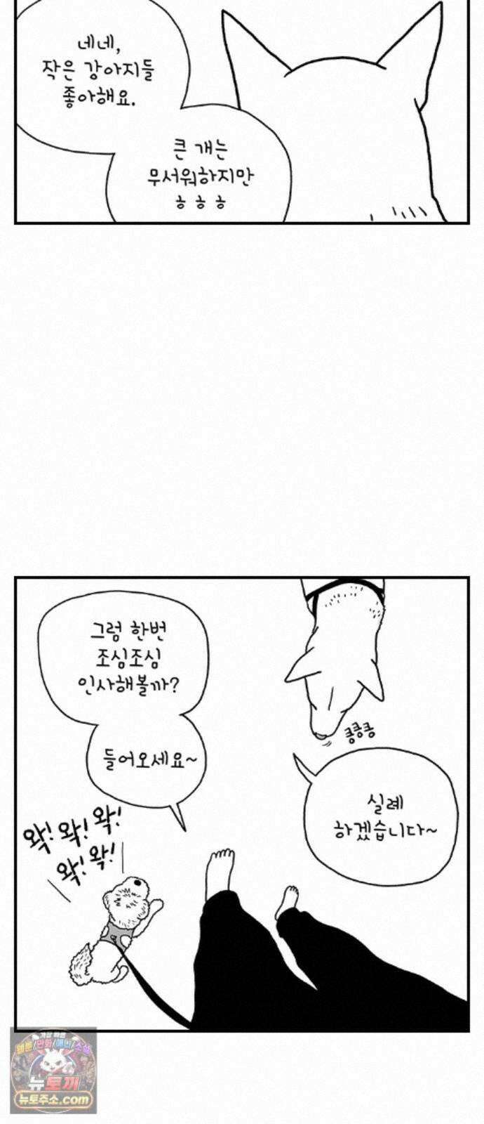 펫로스클럽 42. 귤꽃 향기 35
