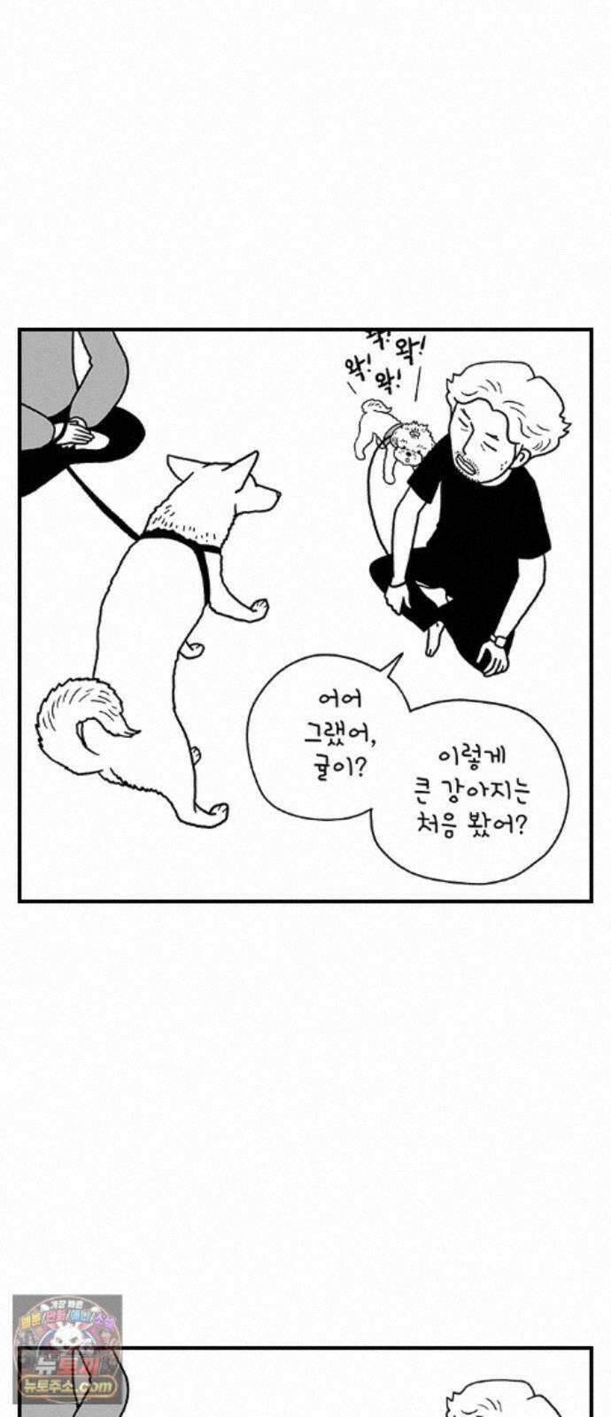 펫로스클럽 42. 귤꽃 향기 36