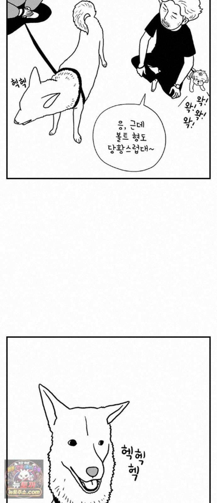 펫로스클럽 42. 귤꽃 향기 37