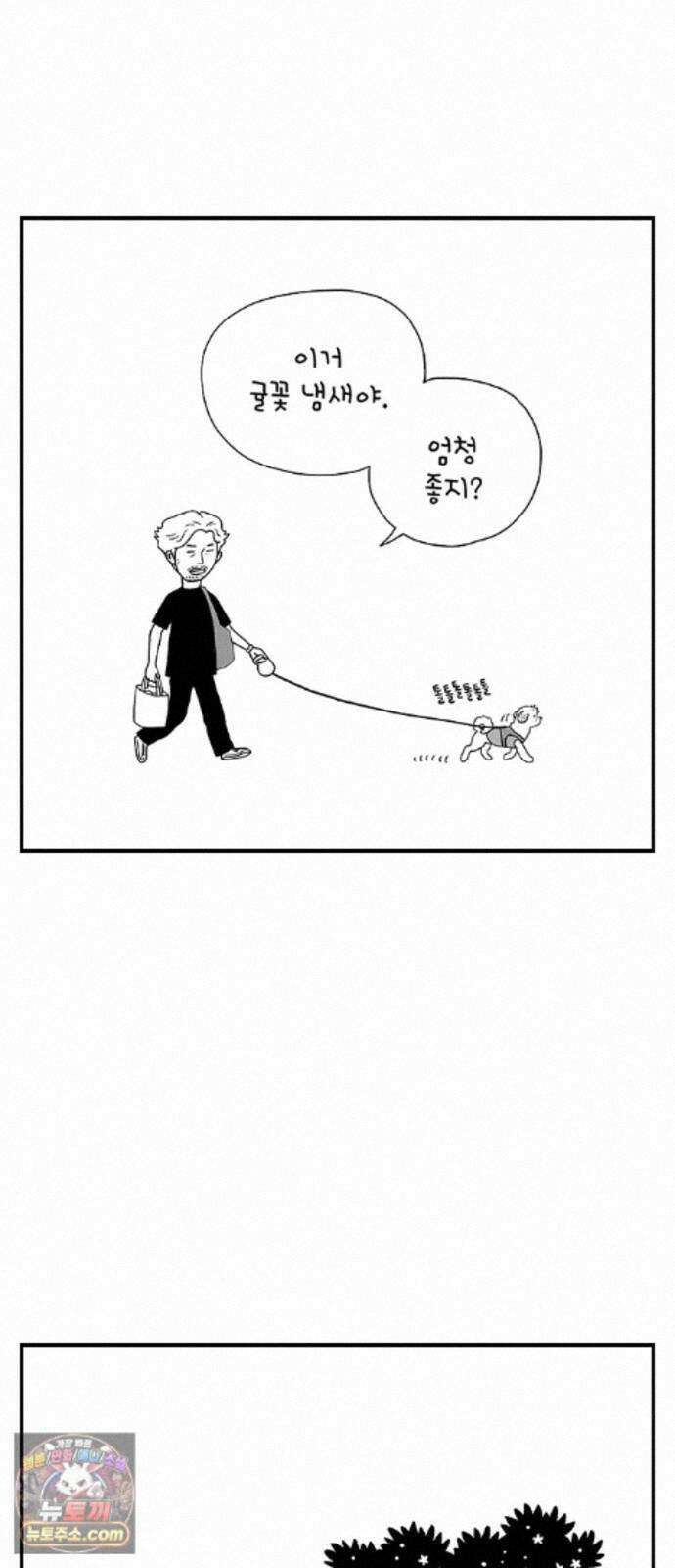 펫로스클럽 42. 귤꽃 향기 44
