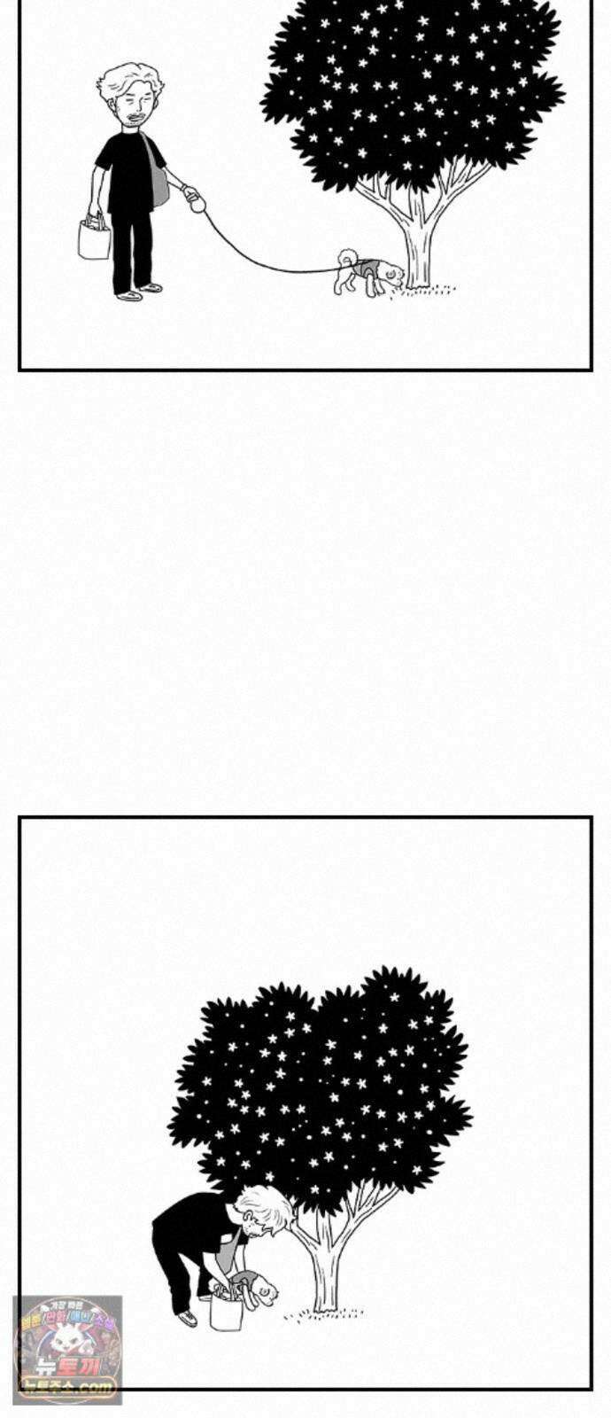 펫로스클럽 42. 귤꽃 향기 45