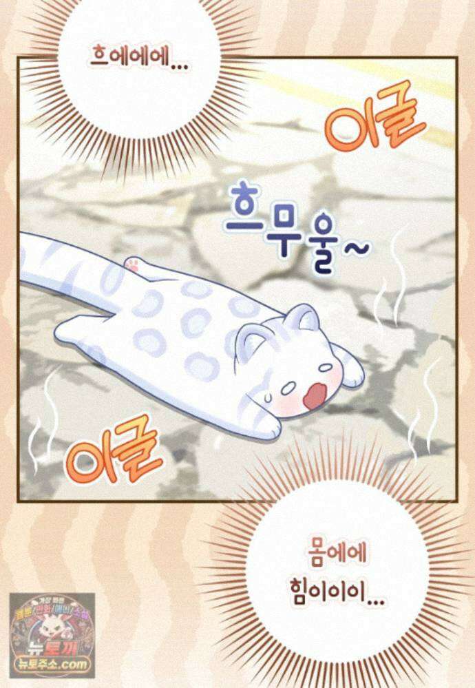 흑표 가문의 설표 아기님 흑표 가문의 동물 가족들 12화 11