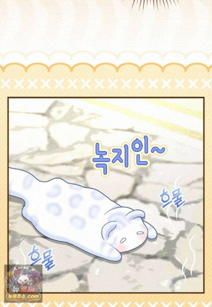 흑표 가문의 설표 아기님 흑표 가문의 동물 가족들 12화 12